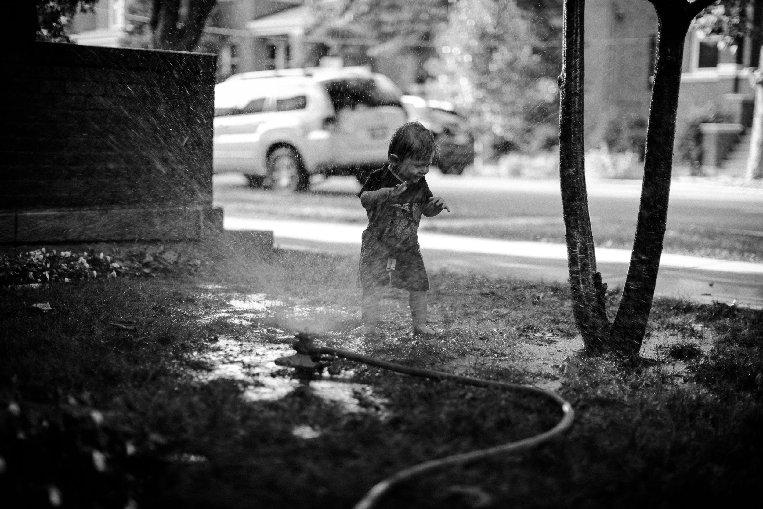 Schilling_130910_Knox_6611
